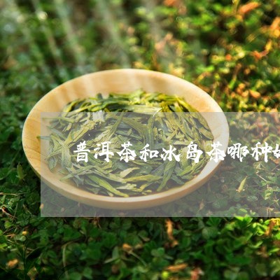 普洱茶和冰岛茶哪种好喝/2023050542526