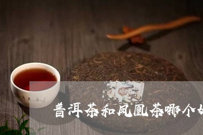 普洱茶和凤凰茶哪个好/2023080354258