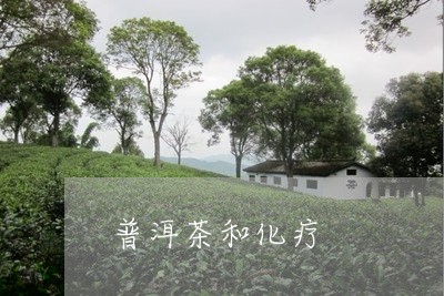 普洱茶和化疗/2023042720196