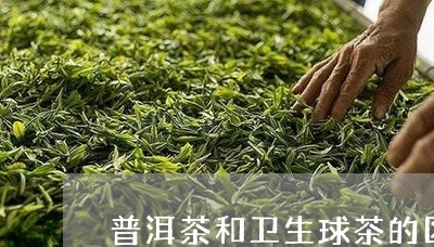 普洱茶和卫生球茶的区别/2023082507350