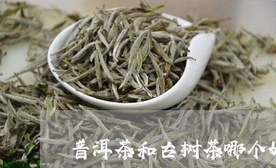 普洱茶和古树茶哪个好/2023062349493