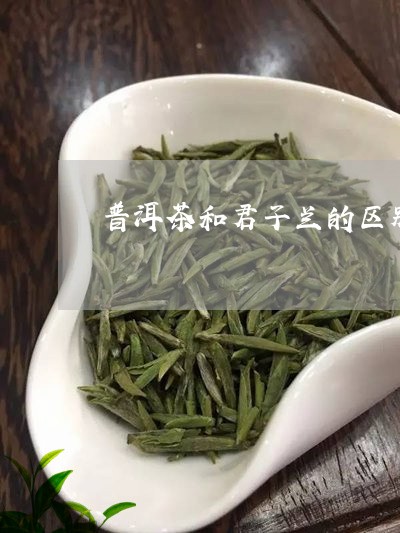 普洱茶和君子兰的区别图/2023121689514