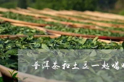 普洱茶和土豆一起喝吗/2023121624969