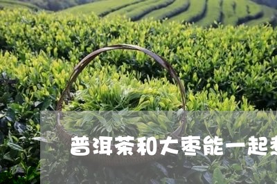 普洱茶和大枣能一起煮/2023092616949