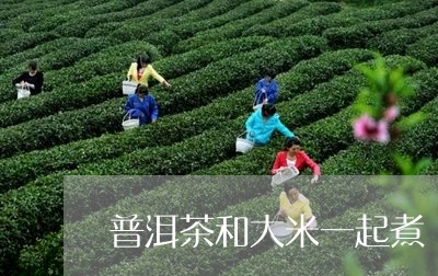 普洱茶和大米一起煮/2023071030704