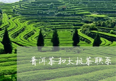 普洱茶和太极茶联系/2023070981605