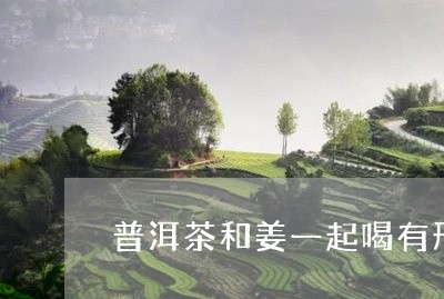 普洱茶和姜一起喝有形象吗/2024010470803