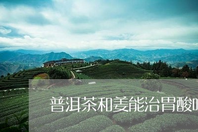 普洱茶和姜能治胃酸吗/2023093027493