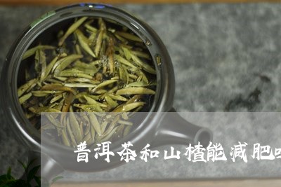 普洱茶和山楂能减肥吗/2023062137271