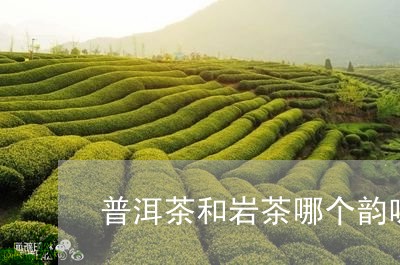 普洱茶和岩茶哪个韵味好/2023112848472