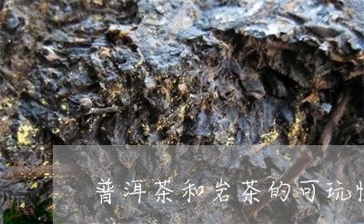 普洱茶和岩茶的可玩性/2023120798594