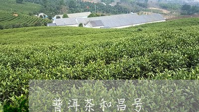 普洱茶和昌号/2023112671603