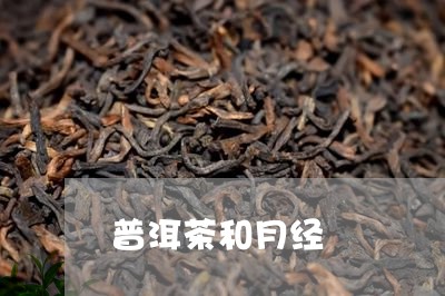 普洱茶和月经/2023091379603