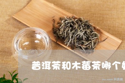 普洱茶和木莓茶哪个好/2023073047362