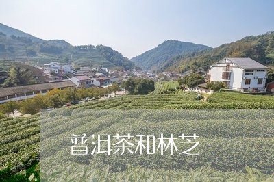 普洱茶和林芝/2023042605966