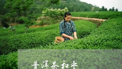 普洱茶和枣/2023090532594