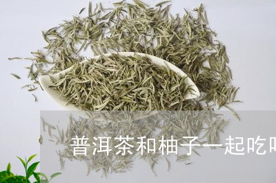 普洱茶和柚子一起吃吗/2023061400794