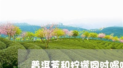 普洱茶和柠檬同时喝吗/2023073162693