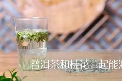 普洱茶和桂花一起能泡/2023092605948