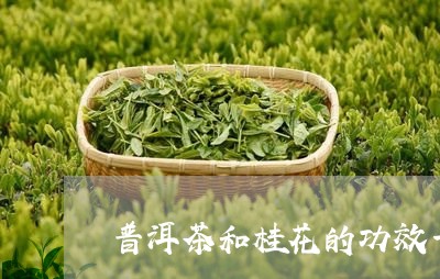 普洱茶和桂花的功效一样吗/2023112867261