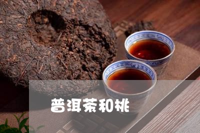 普洱茶和桃/2023090657272