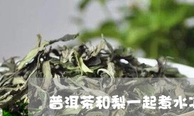 普洱茶和梨一起煮水减肥吗/2023051084825