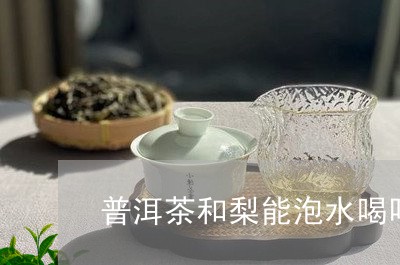 普洱茶和梨能泡水喝吗/2023093022513