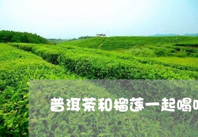 普洱茶和榴莲一起喝吗/2023092629271