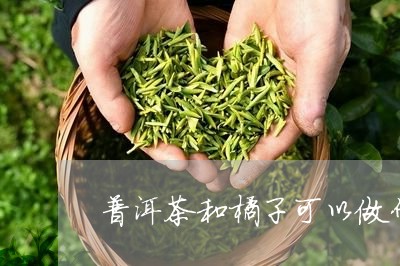 普洱茶和橘子可以做什么饮料/2023110237270