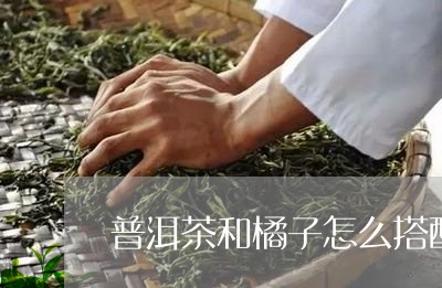 普洱茶和橘子怎么搭配/2023100678259