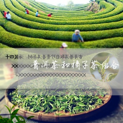 普洱茶和橘子茶结合/2023070962936