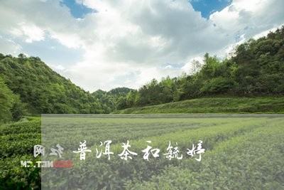 普洱茶和毓婷/2023042923289