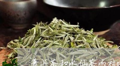 普洱茶和水仙茶汤对比/2023062584715