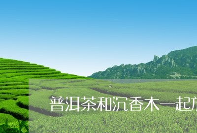 普洱茶和沉香木一起放/2023061432616