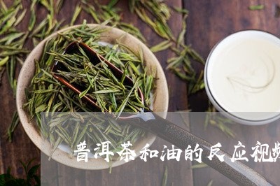 普洱茶和油的反应视频教学/2023110699304