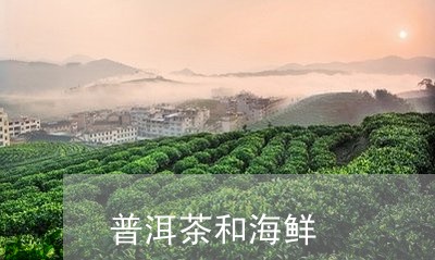 普洱茶和海鲜/2023042618038