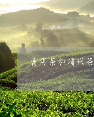 普洱茶和清代茶的区别/2023080200695