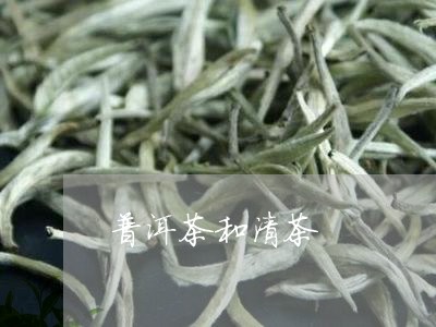 普洱茶和清茶/2023042970985