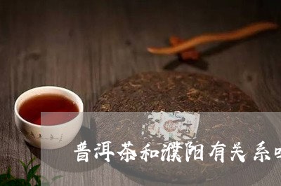 普洱茶和濮阳有关系吗/2023092808604