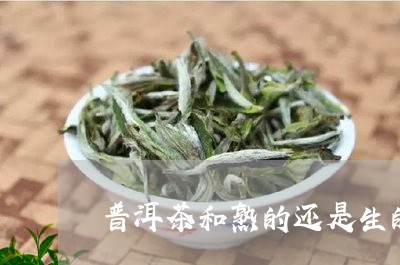 普洱茶和熟的还是生的/2023061694035