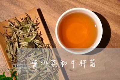 普洱茶和牛肝菌/2023102676371