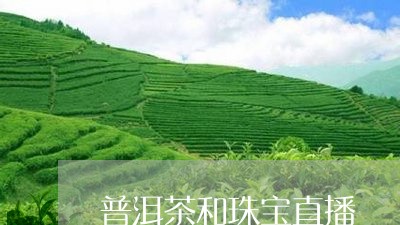 普洱茶和珠宝直播/2023121600390