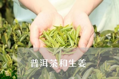 普洱茶和生姜/2023042997478