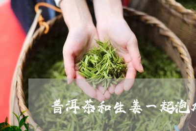 普洱茶和生姜一起泡水/2023072207269