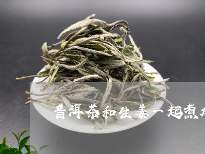 普洱茶和生姜一起煮水/2023092759614