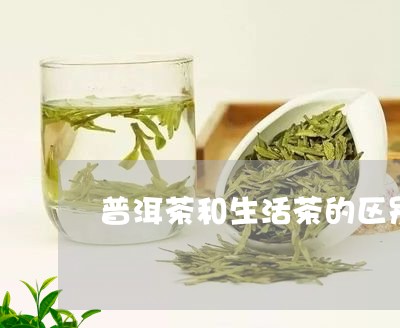 普洱茶和生活茶的区别/2023100769737