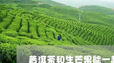 普洱茶和生芒果能一起吃吗/2023051382824