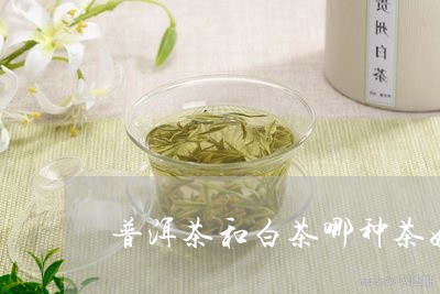 普洱茶和白茶哪种茶好/2023080378372