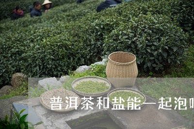 普洱茶和盐能一起泡吗/2023092550836