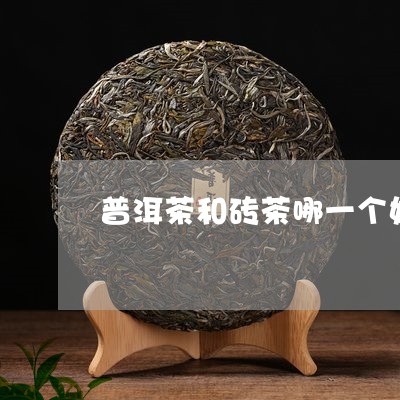 普洱茶和砖茶哪一个好/2023092502827